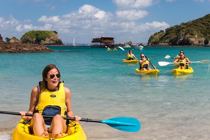 Full-Day Adventure Cruise with Lunch in Bay of Islands - Key points to know before you book