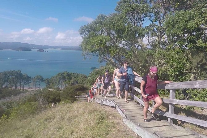 Full-Day Adventure Cruise with Lunch in Bay of Islands - What the boat and crew add to the day