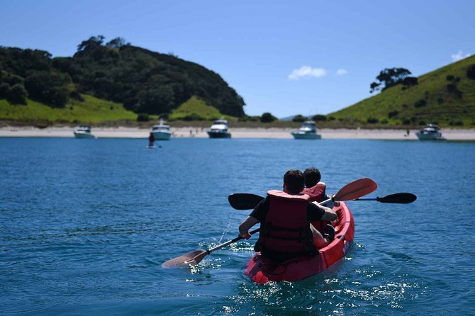 Full-Day Adventure Cruise with Lunch in Bay of Islands - Is $178.73 a fair price?