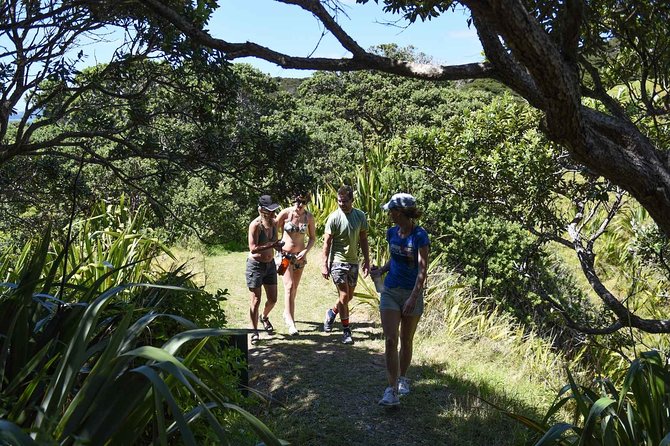 Full-Day Adventure Cruise with Lunch in Bay of Islands - Who will enjoy this cruise most?
