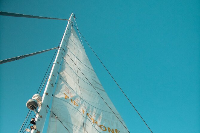 Full-Day Catamaran Cruise with Lunch in Island of Malta - Why Tip Top One feels different from a standard Malta cruise