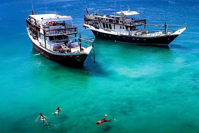 Full-Day Mussandam Cruise with Lunch Dibba - Key points to know before booking