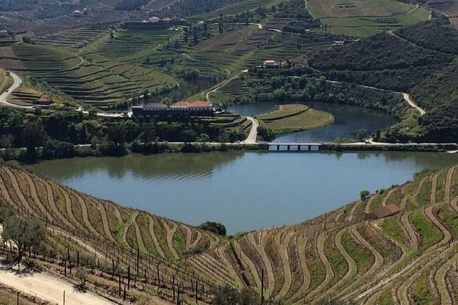 Full Day, Wine Tasting, River Cruise and Lunch from Porto - Cruising the Douro from Pinhão
