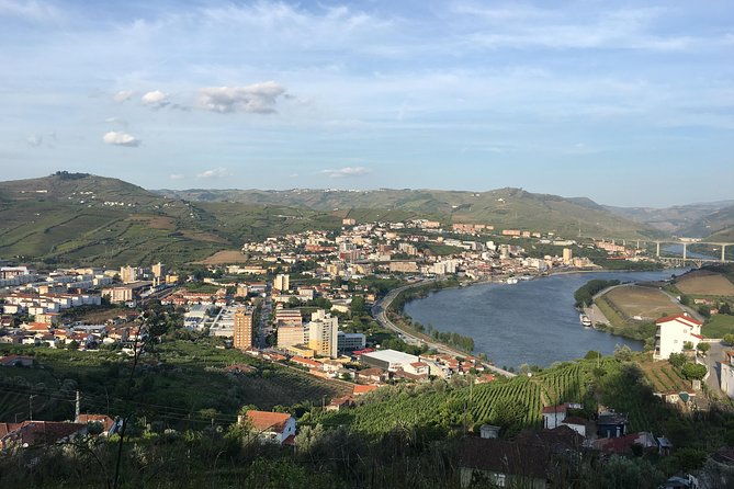 Full Day, Wine Tasting, River Cruise and Lunch from Porto - Is the $98.33 price good value?