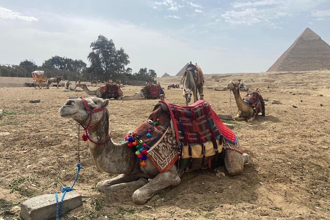 Giza Pyramids,Sphinx,Camel Ride,ATV Bike,Shopping, Dinner cruise - One hour on an ATV near the pyramids