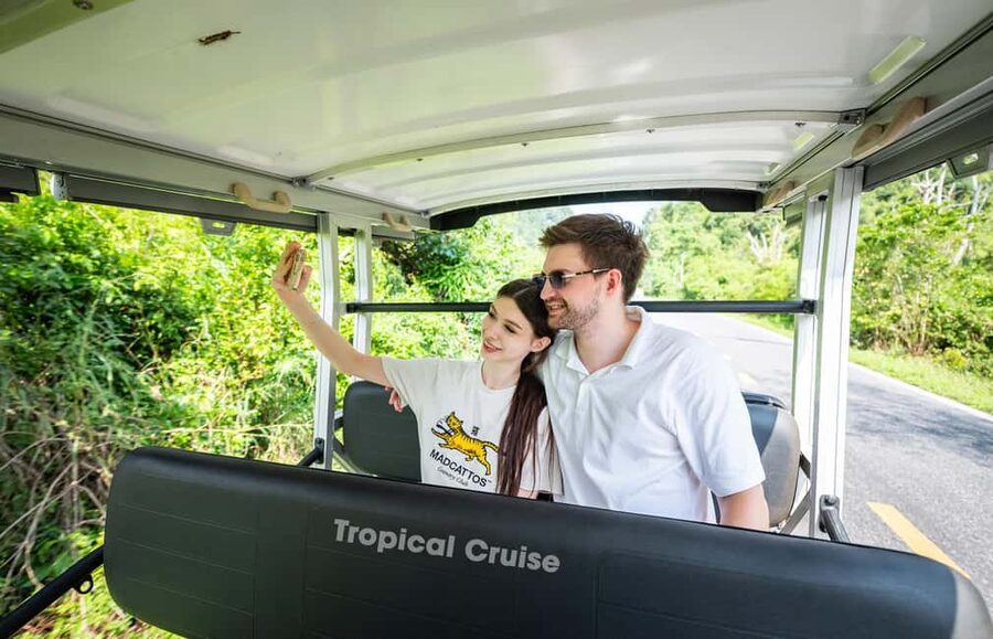 Ha Long Bay Luxury Day Cruise with Buffet Lunch - Luon Cave by kayak or bamboo boat