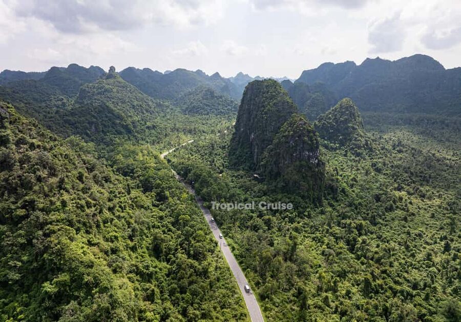 Ha Long Bay Luxury Day Cruise with Buffet Lunch - Who should choose this day cruise