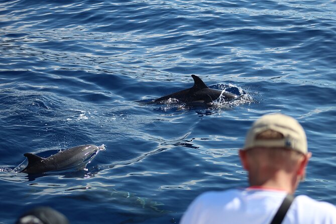 Half Day Madeira Island Cruise with Lunch - Coastal views from the water