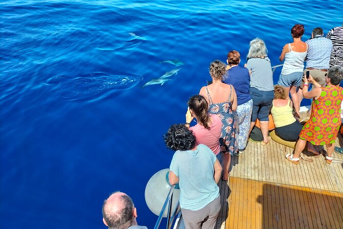 Half Day Madeira Island Cruise with Lunch - Who will get the most from this cruise