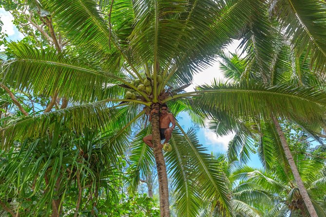 Half-Day Muri Lagoon BBQ Lunch Cruise including Snorkeling - Who will get the most from this four-hour trip