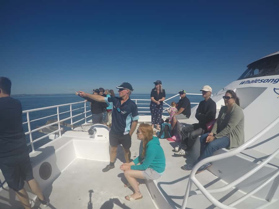 Hervey Bay: Half-Day Whale Watching Cruise with Meal - The hydrophone adds another sense to the experience