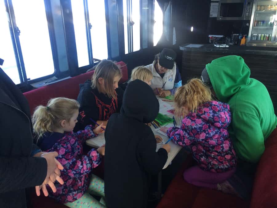 Hervey Bay: Half-Day Whale Watching Cruise with Meal - Morning tea, lunch, and dinner on the bay