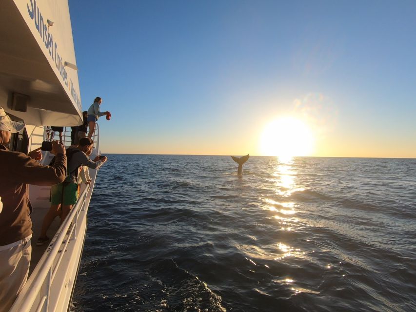Hervey Bay: Half-Day Whale Watching Cruise with Meal - Comfort, space, and the reality of the sea