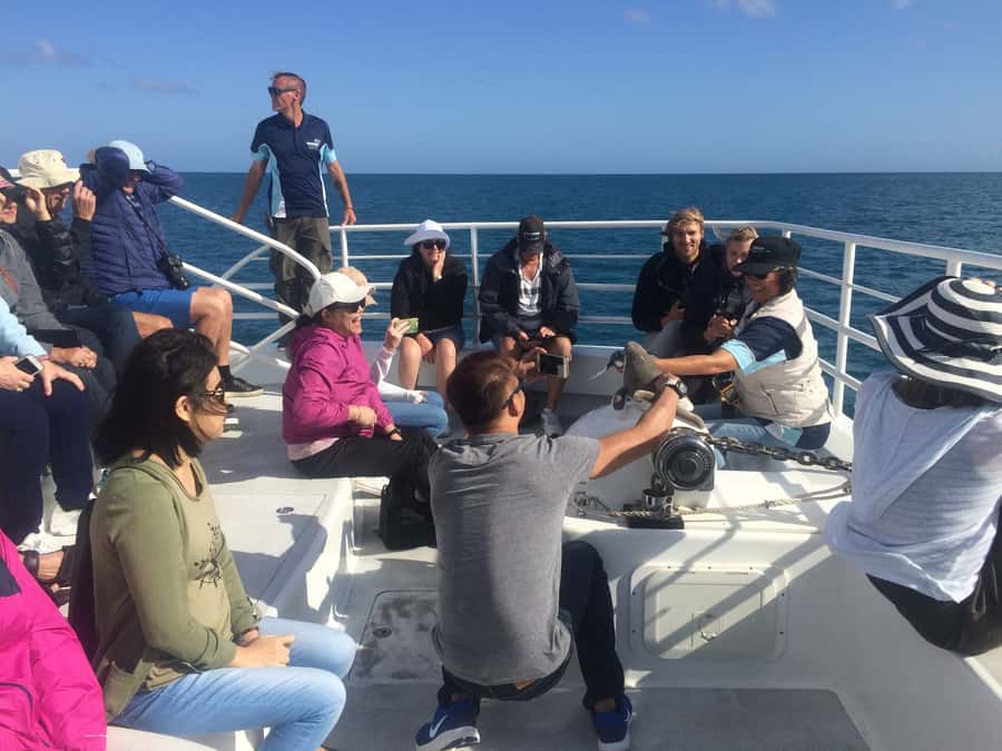 Hervey Bay: Half-Day Whale Watching Cruise with Meal - From Great Sandy Straits Marina to open water