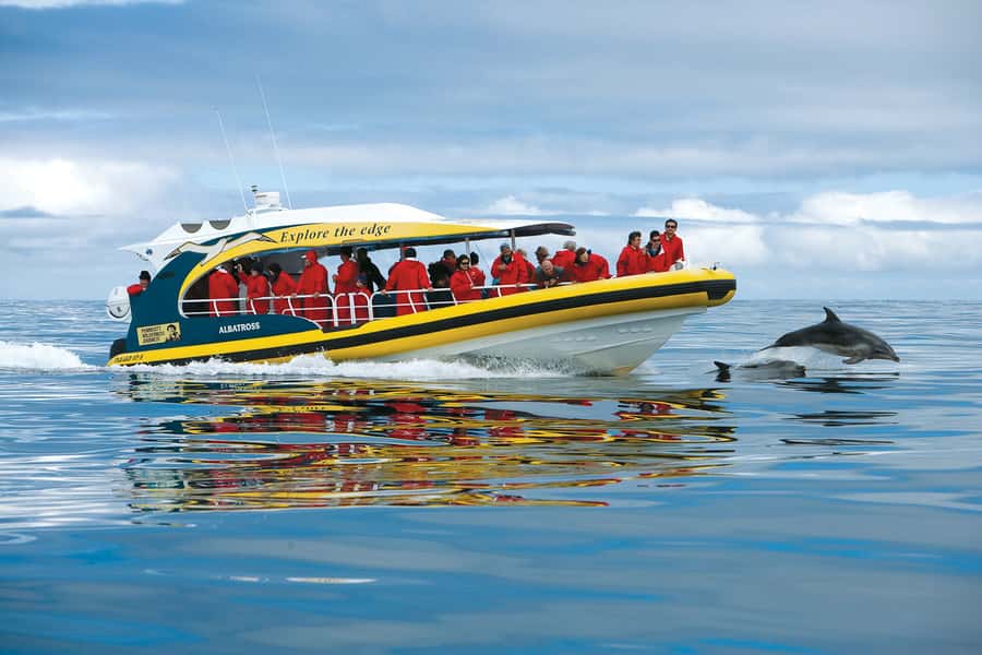 Hobart: Bruny Island Wilderness Coast Eco Cruise with Lunch - Why the Bruny coast is the real star
