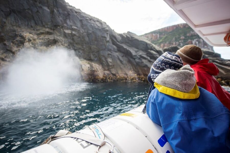 Hobart: Bruny Island Wilderness Coast Eco Cruise with Lunch - What the $194 price really covers
