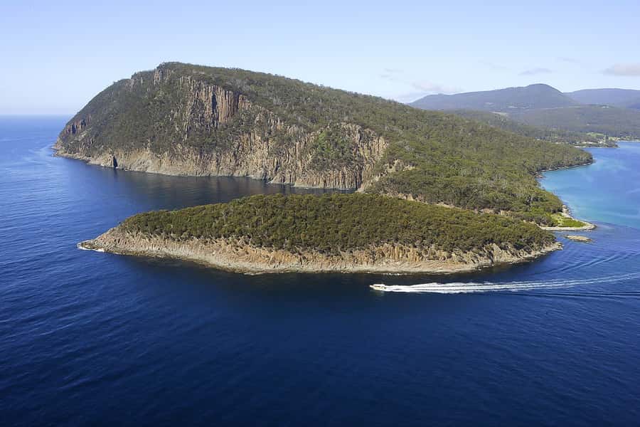 Hobart: Bruny Island Wilderness Coast Eco Cruise with Lunch - Who should book this Bruny Island cruise