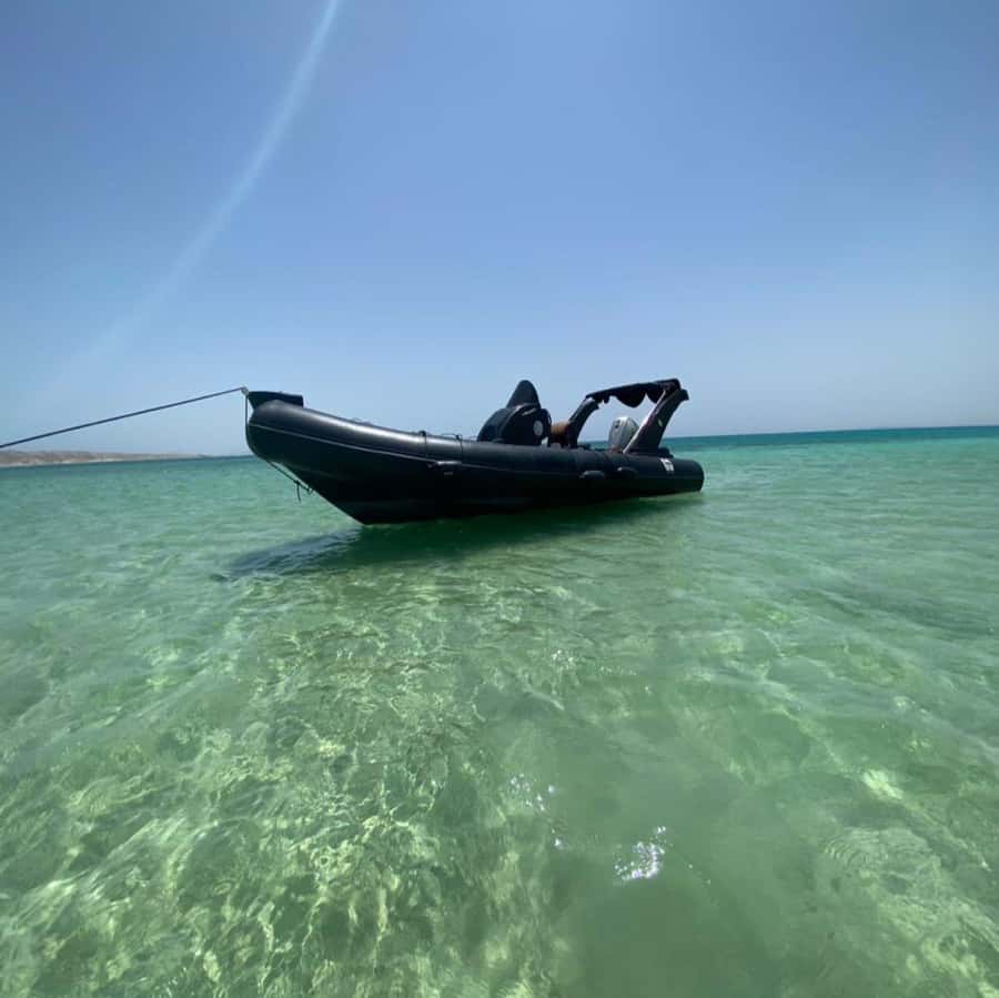 Hurghada: Giftun Island Orange Bay Speedboat Cruise & Lunch - Who will enjoy this Red Sea outing most