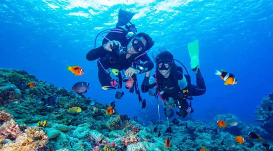 Hurghada: Scuba Diving cruise with lunch & pickup - Key points to know before you book