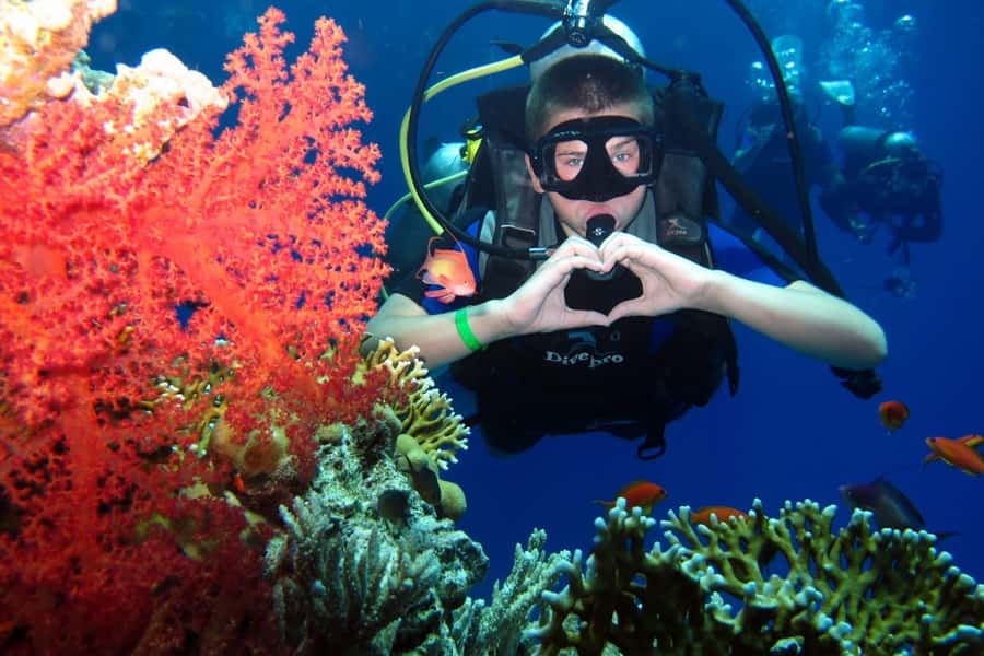 Hurghada: Scuba Diving cruise with lunch & pickup - What a first scuba session feels like