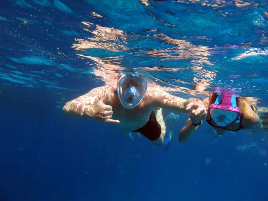 Hurghada: Scuba Diving cruise with lunch & pickup - The surface interval, snorkeling, and boat time