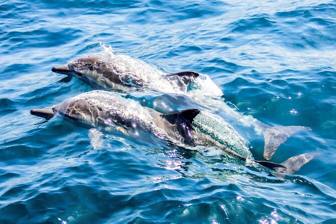 Ierapetra Chrissi Island Luxury Yacht Cruise with Meal - Who will enjoy this yacht day most