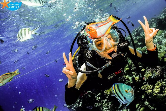 Intro and Professional Scuba Diving Cruise with Lunch in Hurghada - Key points to know before booking
