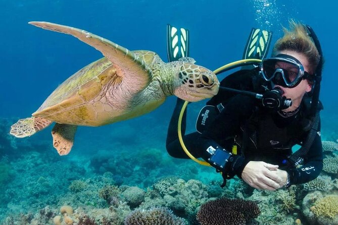 Intro and Professional Scuba Diving Cruise with Lunch in Hurghada - Two intro sessions at about 7 meters