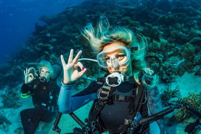 Intro and Professional Scuba Diving Cruise with Lunch in Hurghada - What the $15 price really means