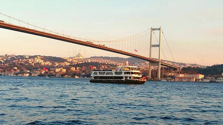 Istanbul: Bosphorus Dinner Cruise with Drinks & Turkish Show - First course, main dish, and Turkish dessert