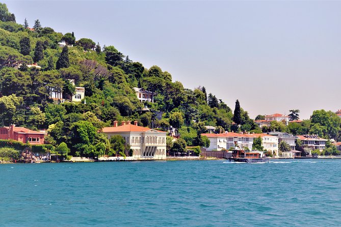 Istanbul Lunch Cruise on Bosphorus and Black Sea - Mezes aboard the boat