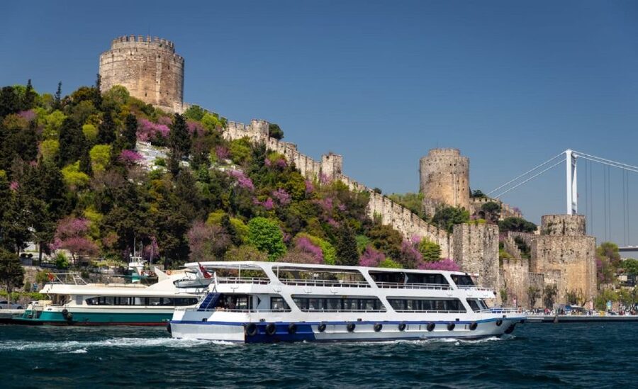 Istanbul: Old Town Tour and Bosphorus Lunch Cruise - Lunch on a private yacht
