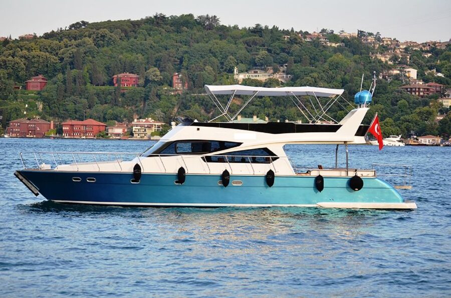 Istanbul: Old Town Tour and Bosphorus Lunch Cruise - Languages, accessibility, and planning details