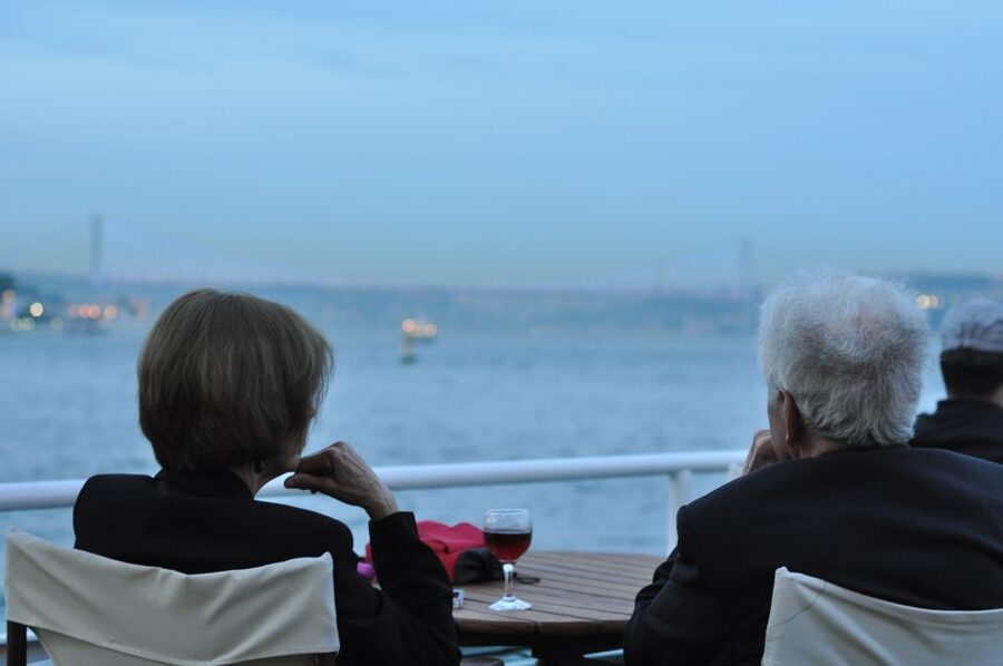 Istanbul: Pasha Istanbul Dinner Cruise - A Bosphorus night built around views and stage entertainment
