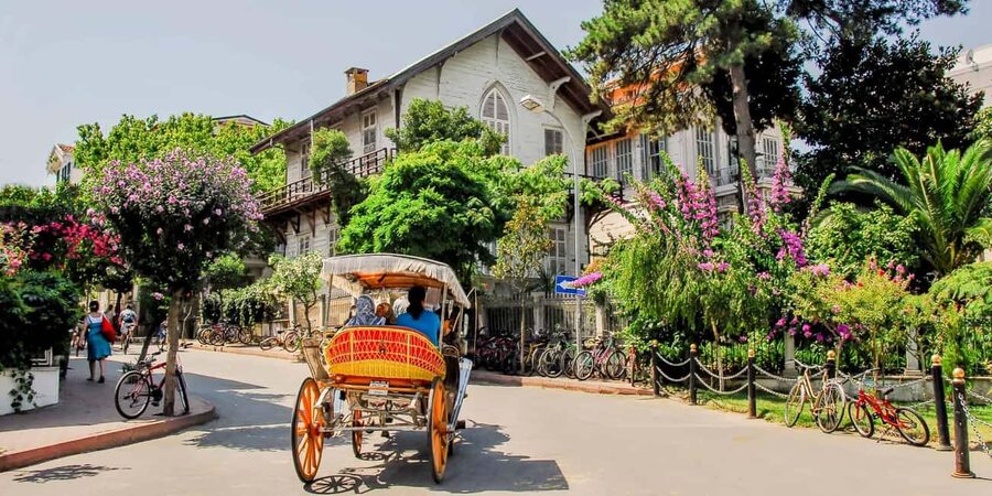 Istanbul Prince Island Cruise with Lunch & Free Time - Why the Princes’ Islands make a good day away