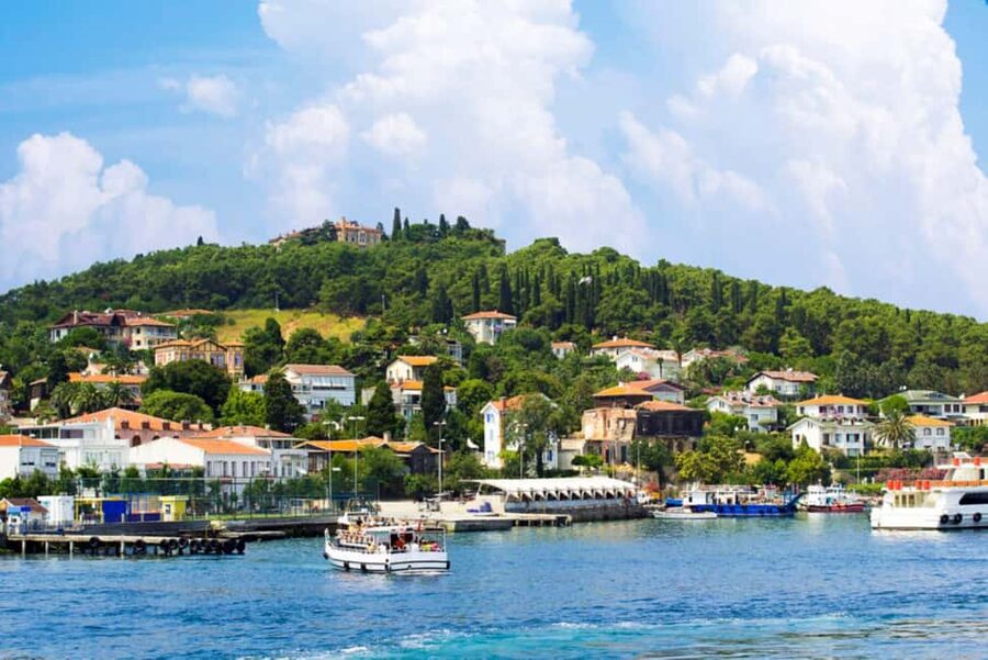 Istanbul Prince Island Cruise with Lunch & Free Time - Season, comfort, and accessibility