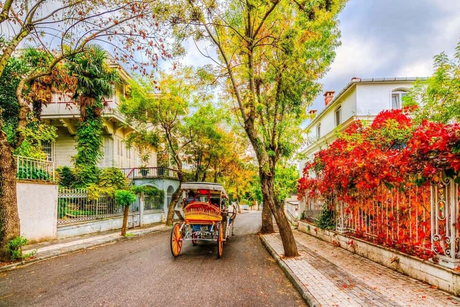 Istanbul: Princes' Islands Cruise with Lunch and Guide - Büyükada, wooden houses and car-free streets