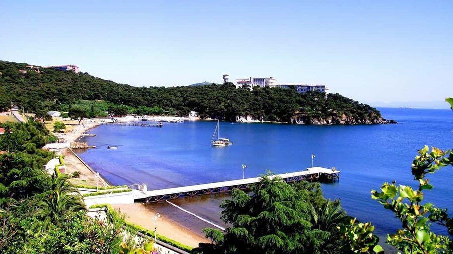 Istanbul: Princes' Islands Cruise with Lunch and Guide - Who will enjoy this island day trip