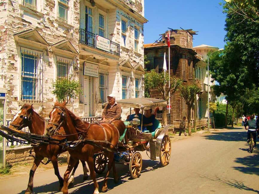 Istanbul: Princes' Islands Cruise with Lunch and Guide - Should you book the Princes’ Islands cruise?