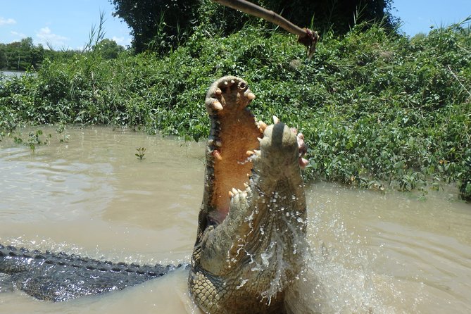 Jumping Crocodile Cruise with lunch - What the €109.81 price really covers