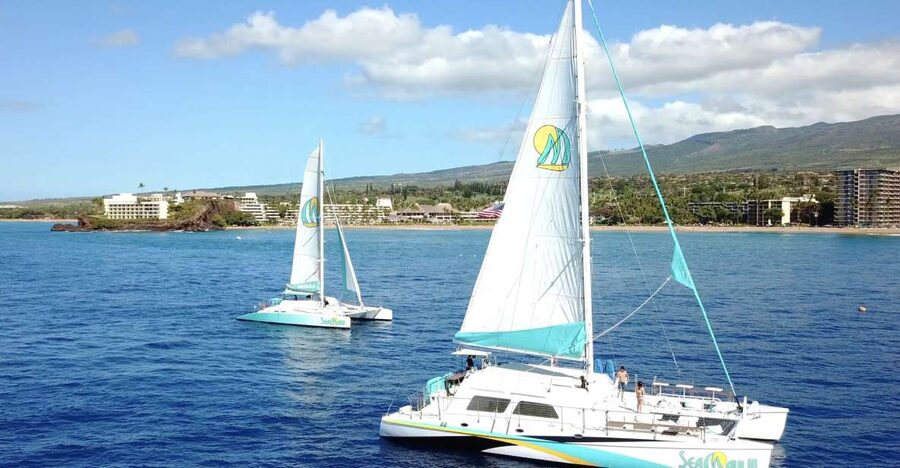 Kaanapali: Sunset Dinner Catamaran Cruise With Drinks - Whales, dolphins, and the chance of wildlife