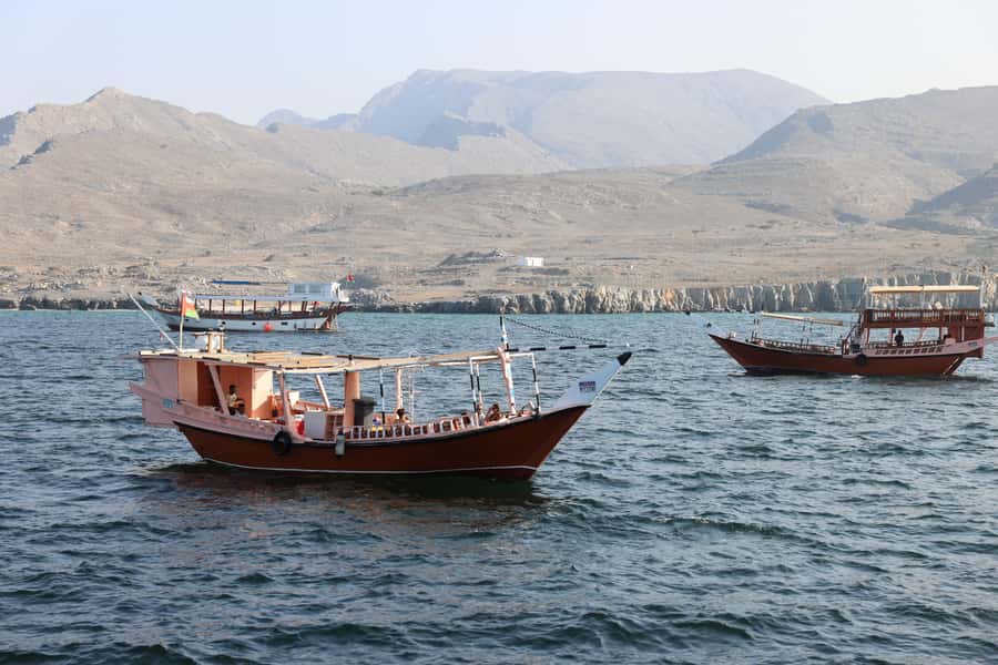 Khasab: Dhow Cruise with Lunch, Dolphin Watching& Snorkeling - Dolphin watching in the fjords