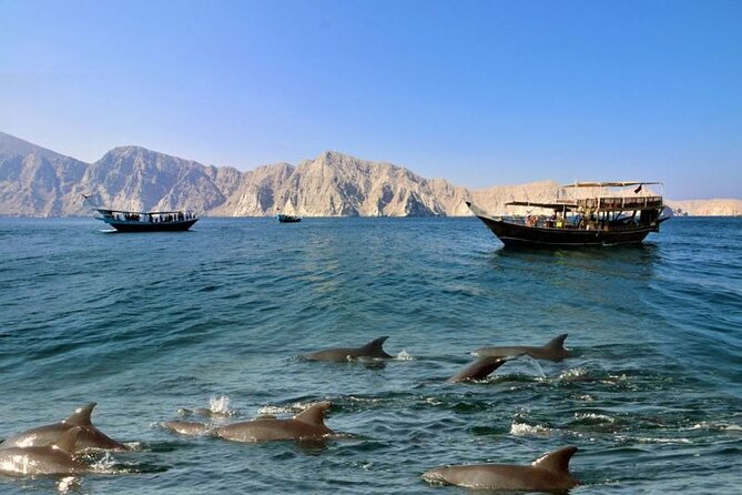 Khasab Musandam Full Day dhow cruise with lunch and Snorkeling - Cruising Through Khor Sham