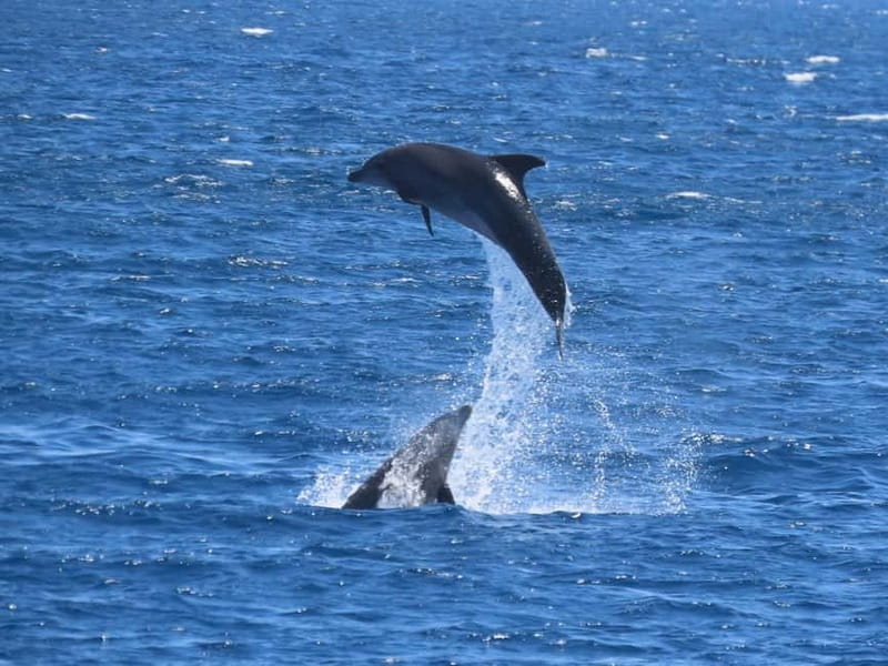 Kos: 3-Island Cruise with Lunch and Hotel Transfer - Pickup around Kos and the 40-minute bus ride