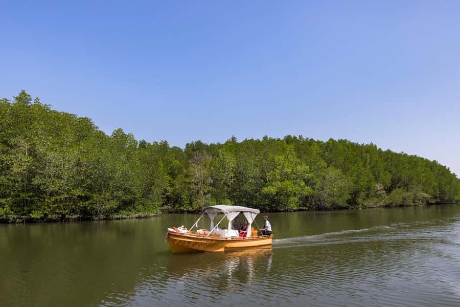 Krabi Private Gondola Cruise with Lunch and Picnic - A quiet Krabi outing through the mangroves