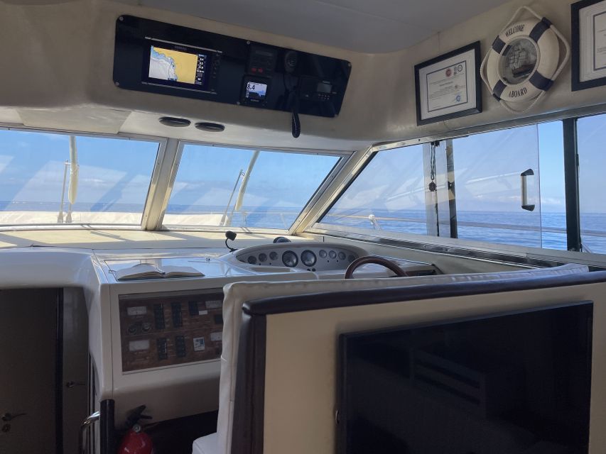 Las Galletas: Private Luxury Yacht Cruise with Lunch - Key details before you book
