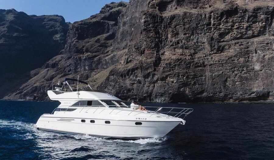 Las Galletas: Private Luxury Yacht Cruise with Lunch - Looking for whales and dolphins offshore