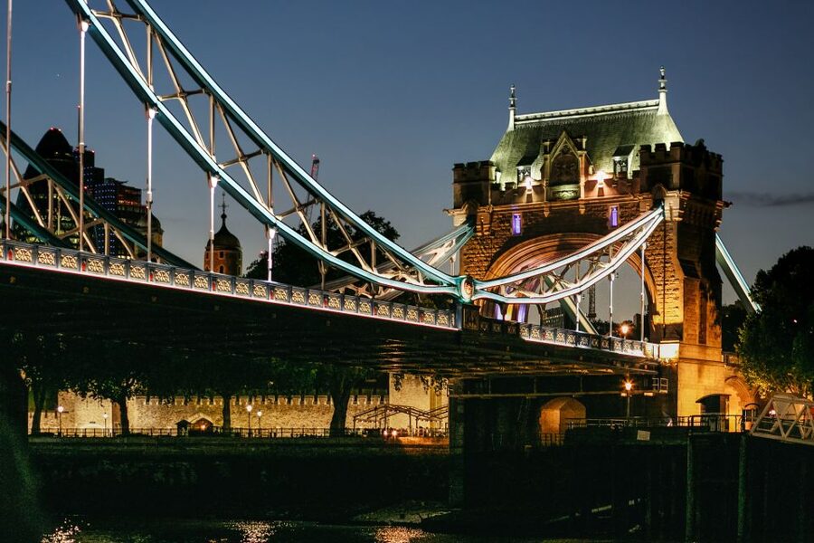 London: River Thames Dinner Cruise - Food allergies and special menus