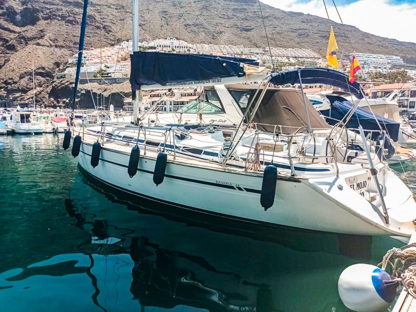 Los Gigantes: Whales and Dolphin Watching Cruise with Lunch - Swimming and snorkeling below the cliffs