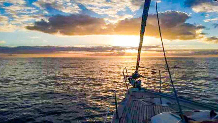 Los Gigantes: Whales and Dolphin Watching Cruise with Lunch - What lunch on board really means